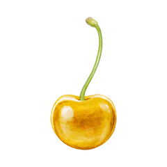 cherry digital waterolor stock illustration