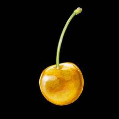 cherry digital waterolor stock illustration