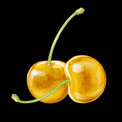 cherry digital waterolor stock illustration