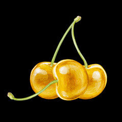 cherry digital waterolor stock illustration