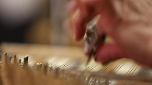 close-up shows a woman's hands playing an ornate wooden zither with plectrums. A microphone captures the beautiful sound of this traditional Middle Eastern folk instrument.
