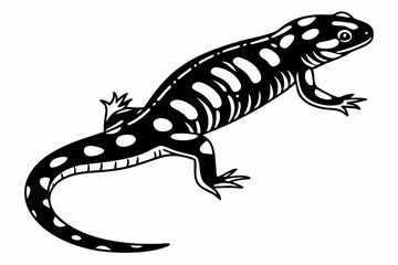 Obraz premium tiger salamander sihouette black vector 
