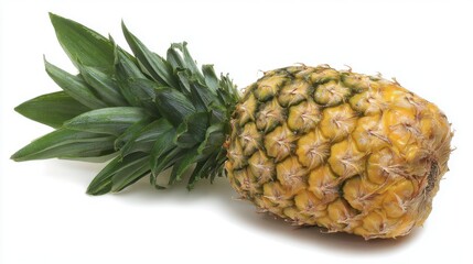 Fresh, ripe pineapple with golden-brown textured rind and vibrant green crown leaves isolated on stark white background, natural presentation.