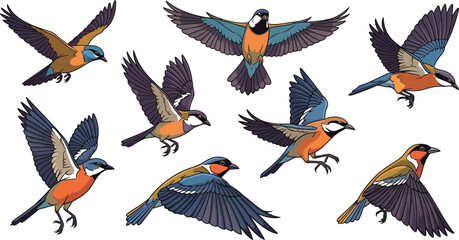 Illustration of eight colorful european roller birds flying on a white background in various positions