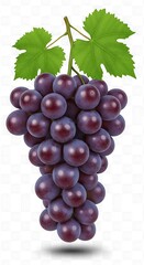 Fototapeta premium Crimson Jewel