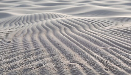 Obraz premium high quality, photorealistic rendering of sand with ripple patterns, high detail, soft lighting, minimal background