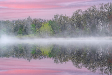 Spring landscape at dawn of the shoreline of Deep Lake in fog with mirrored reflections in calm water, Yankee Springs State Park, Michigan, USA