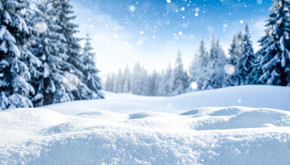 Fototapeta premium winter forest landscape