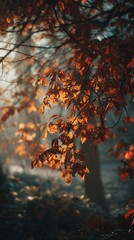 A tree with leaves that are orange and yellow