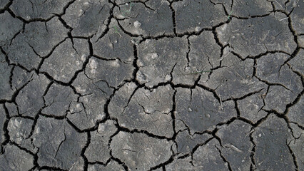 Cracked Dry Earth Texture Due to Drought