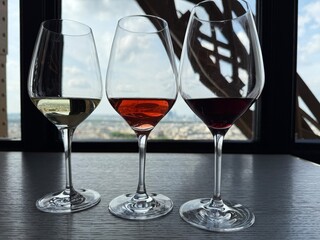 Elegant Wine Tasting at Eiffel Tower