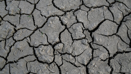 Cracked Dry Earth Texture Due to Drought
