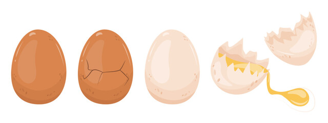 Brown and white chicken eggs. Whole and broken, boiled and raw. Choice vector isolated drawing food for breakfast. Brittle broken shell
