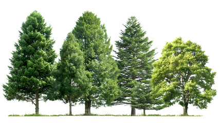 Fototapeta premium Diverse group of lush green trees isolated on a transparent background perfect for creative projects and nature focused designs