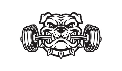 Illustration of an angry bulldog with a dumbbell in his teeth. Vector illustration