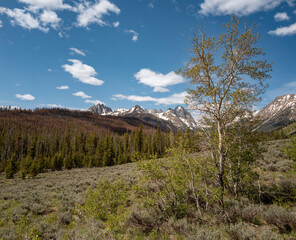 Beautiful Sawtooth mountains and forested valley