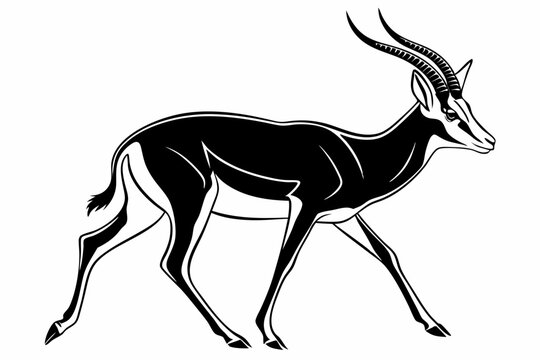 springbok silhoette black vector