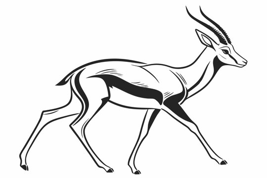 springbok silhoette black vector