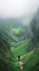 A hiker pausing mid-trail to admire the vast view of a green valley under soft mist 