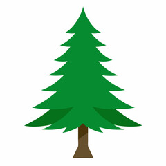 Obraz premium christmas tree on white