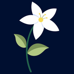 Naklejka premium lily of the valley