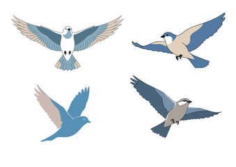 Obraz premium Bird in mid-flight with outstretched wings, stylized and minimal design in calm blue and neutral tones on transparent background