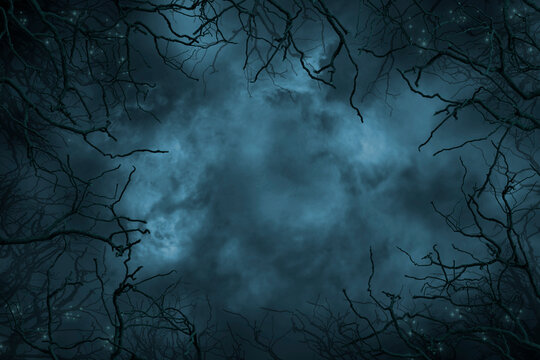 Halloween horror background blank template with empty copy space. Tree branches, dark sky