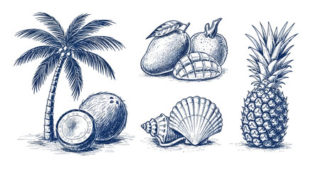 Hand-Drawn Tropical Fruits, Palm Tree, and Seashell Illustration
