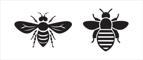 black and white beetle