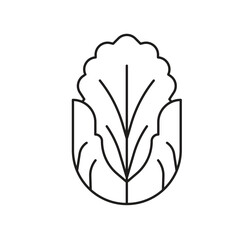 Cabbage Editable line icon