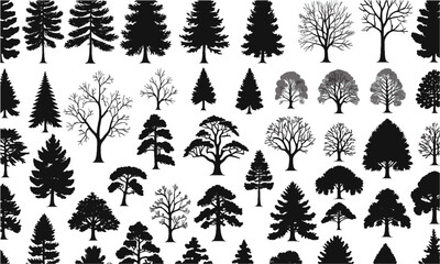  Scalable vector illustration set featuring a diverse collection of black tree silhouettes, pines, deciduous oaks, palms, bare winter trees, tropical trees, and clustered canopies, easily editable.