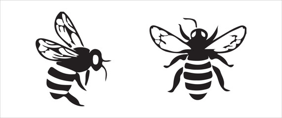 set of insects vector illustration