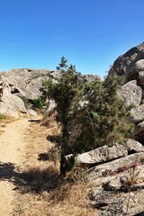 Pink granite rocks near Palau, Gallura, Costa Smeralda, Sardinia, Italy