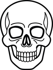 human skull vector illustration