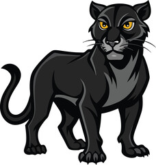 black cat vector illustration