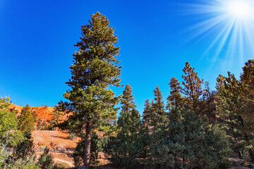 Red and brown hills
