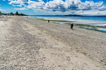 Alki King Tide 6