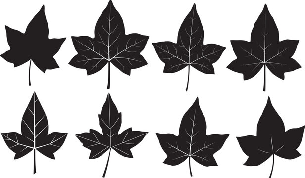 Modern ivy leaf silhouette vector illustration
