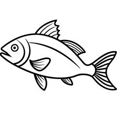 fish on a white background
