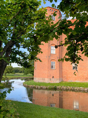 castle in the forest