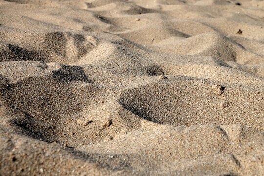 Close up view of natural beach sand. Textured surface of fine golden grains forming organic patterns and dunes across a coastal landscape during a clear sunny day at the seaside