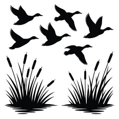 Silhouette of Ducks in Flight Over Reeds