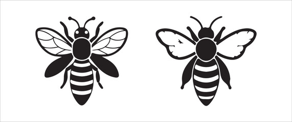 bee on white background