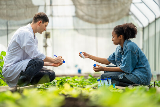 Diverse Scientists Comparing Liquid Samples in Test Tubes During a Plant Science Experiment.