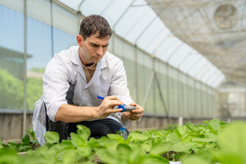 Scientist Conducting Soil pH Test for Quality Control in an Organic Vegetable Farm.