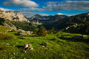 Sutjeska National Park in Bosnia and Herzegovina. Mountains and forest in summer. A valley in the mountains near the villages of Tjentište and Kruševo.