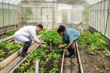 Diverse Agricultural Research Team Working Together in a Large Commercial Greenhouse.