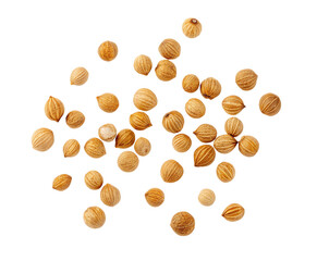 Buy organic coriander seeds online for cooking and spices fresh premium quality best price for sale now