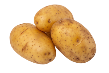 Find the best potatoes for sale yukon gold potatoes russet potatoes and red potatoes organic potatoes 100