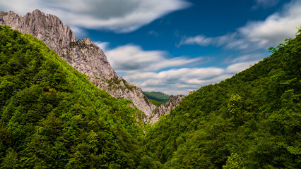 Sutjeska National Park in Bosnia and Herzegovina. Mountains and forest in summer. A valley in the mountains near the villages of Tjentište and Kruševo.